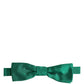 Men Green 100% Silk Adjustable Neck Papillon Bow Tie