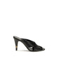 Black Lamb Ovis Aries Aries Mules