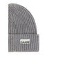 Gray Wool Oves Aries Beanie