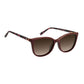 Burgundy Acetate Glasses (Frames)