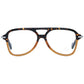 Brown Plastic Glasses (Frames)