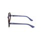 Marrone Injected Womens Sunglasses