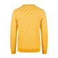 Orange Linen Men Sweater