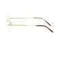 Gold Metallic Unisex Frame