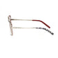 Multicolor Metallic Women's Frame