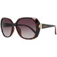 Brown Women Sunglasses