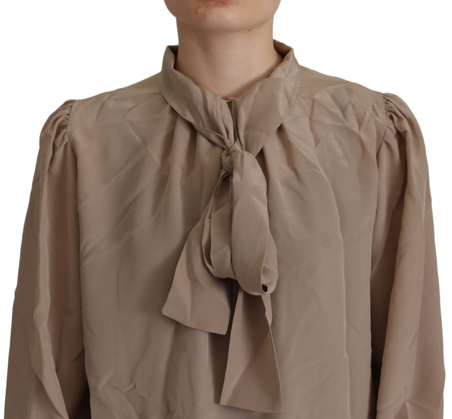 Elegant Silk Ascot Collar Blouse