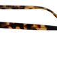 Brown Gold Acetate Havana DG430A Sunglasses