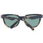 Brown Men Sunglasses