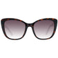 Brown Women Sunglasses