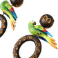 Multicolor Parrot Wood Brass Crystal Embellished Earrings