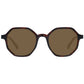 Brown Men Sunglasses