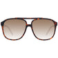 Brown Men Sunglasses