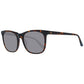 Brown Women Sunglasses