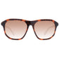 Brown Unisex Sunglasses