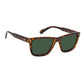 Brown Resin Sunglasses