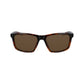 Brown Injected Sunglasses