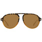 Brown Men Sunglasses