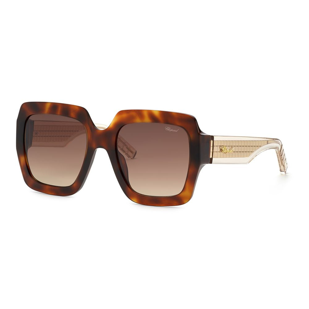 Brown Acetate Sunglasses