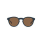 Gray Acetate Sunglasses