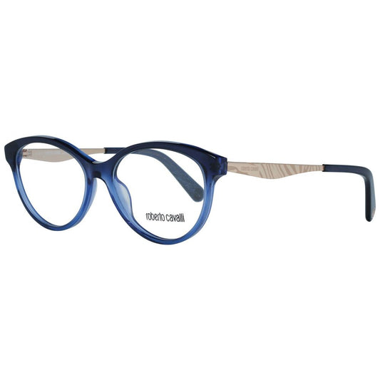 Blue Metal And Plastic Frames