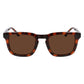 Brown Injected Sunglasses