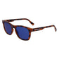 Brown Bio Injected Sunglasses