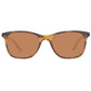 Brown Plastic Sunglasses