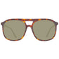Brown Plastic Sunglasses