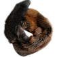 Brown Red Fox Fur Neck Warmer Winter Scarf