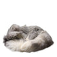 White Fox Fur Neck Wrap Warmer Winter Scarf