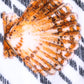 Multicolor Stripes Seashells Beach Towel