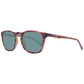 Brown Men Sunglasses