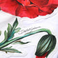 White Floral Print Cotton Crew Neck T-shirt