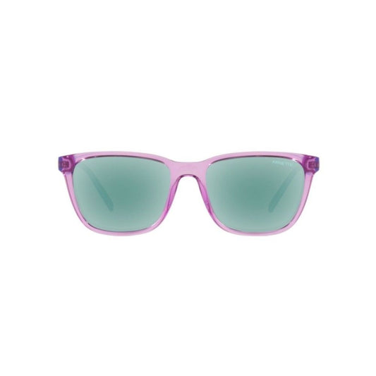 Purple Resin Sunglasses
