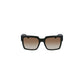 Brown Plastic Women Sunglass