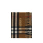 Archivio Check Scarf