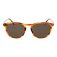 Brown Men Sunglasses