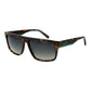 Brown Men Sunglasses
