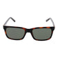 Brown Men Sunglasses