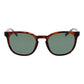 Brown Men Sunglasses