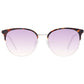 Brown Women Sunglasses
