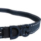 Blue White Cotton DG Logo Metal Buckle Belt