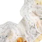 Multicolor Floral Print Non Wire Bra Underwear