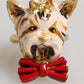 Gold Brass Resin Beige Dog Pet Accessory Ring