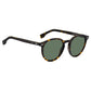 Brown Acetate Sunglasses