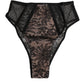 Black Floral Lace Sheer Mesh High Waist Underwear