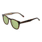 Brown Men Sunglass