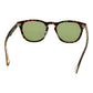 Brown Men Sunglass