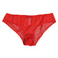 Red Nylon Sheer Mesh Lace Brief Panty Underwear